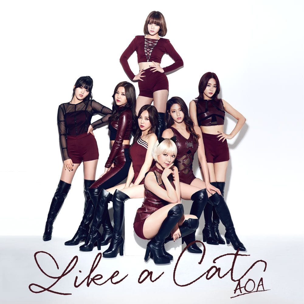Like a Cat cover