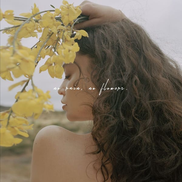 No Rain, No Flowers cover