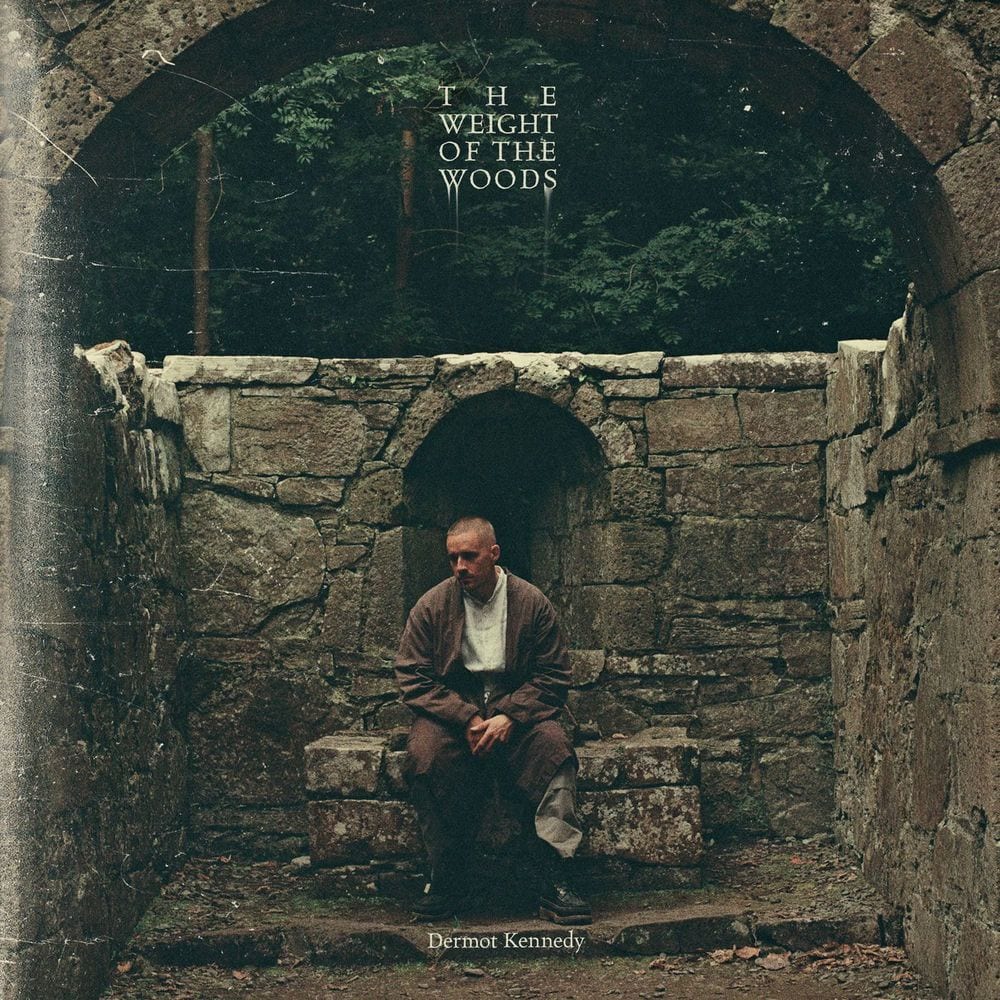 The Weight of the Woods cover