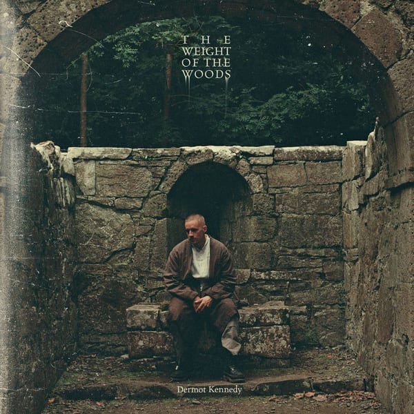 The Weight of the Woods cover