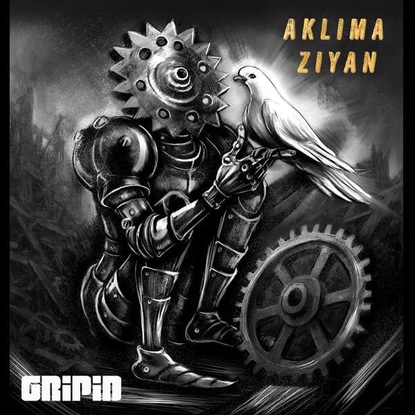Aklıma Ziyan cover