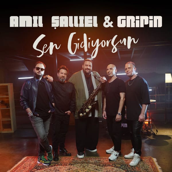 Sen Gidiyorsun cover