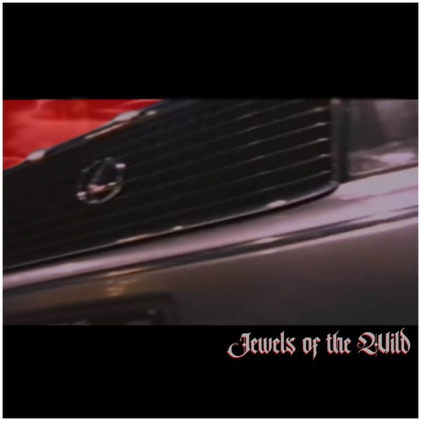 Jewels of the Wild cover