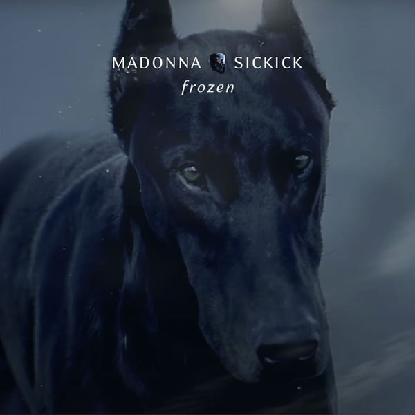 Frozen cover