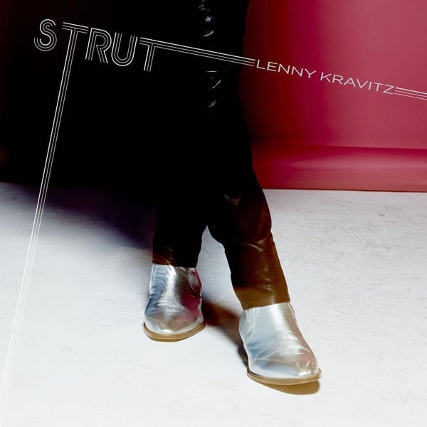 Strut cover