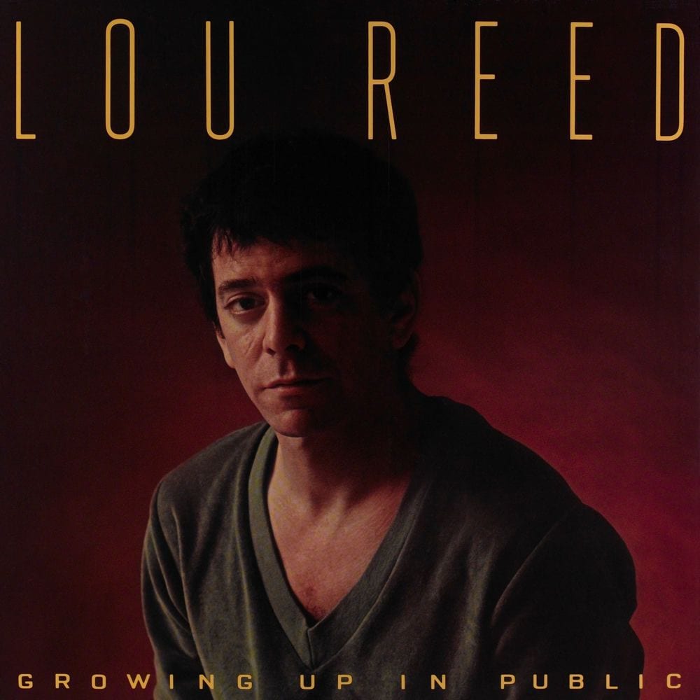 Growing Up in Public cover