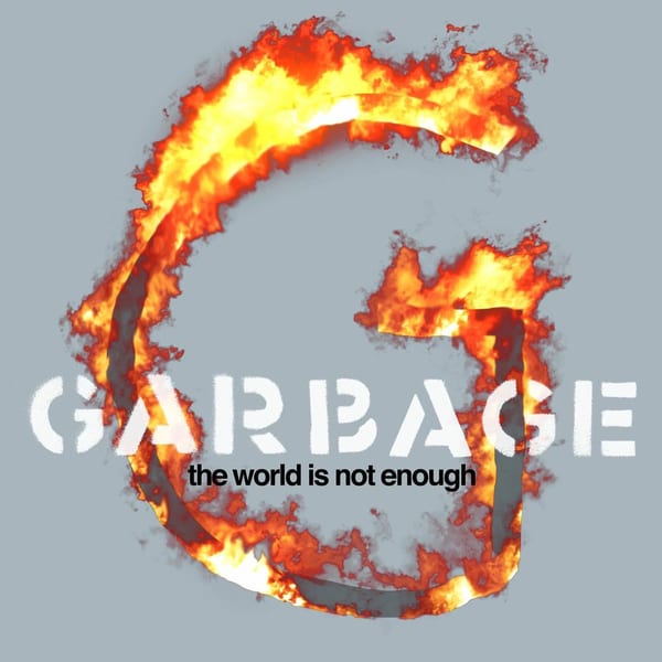 The World Is Not Enough cover