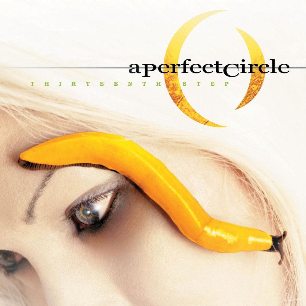 Thirteenth Step cover