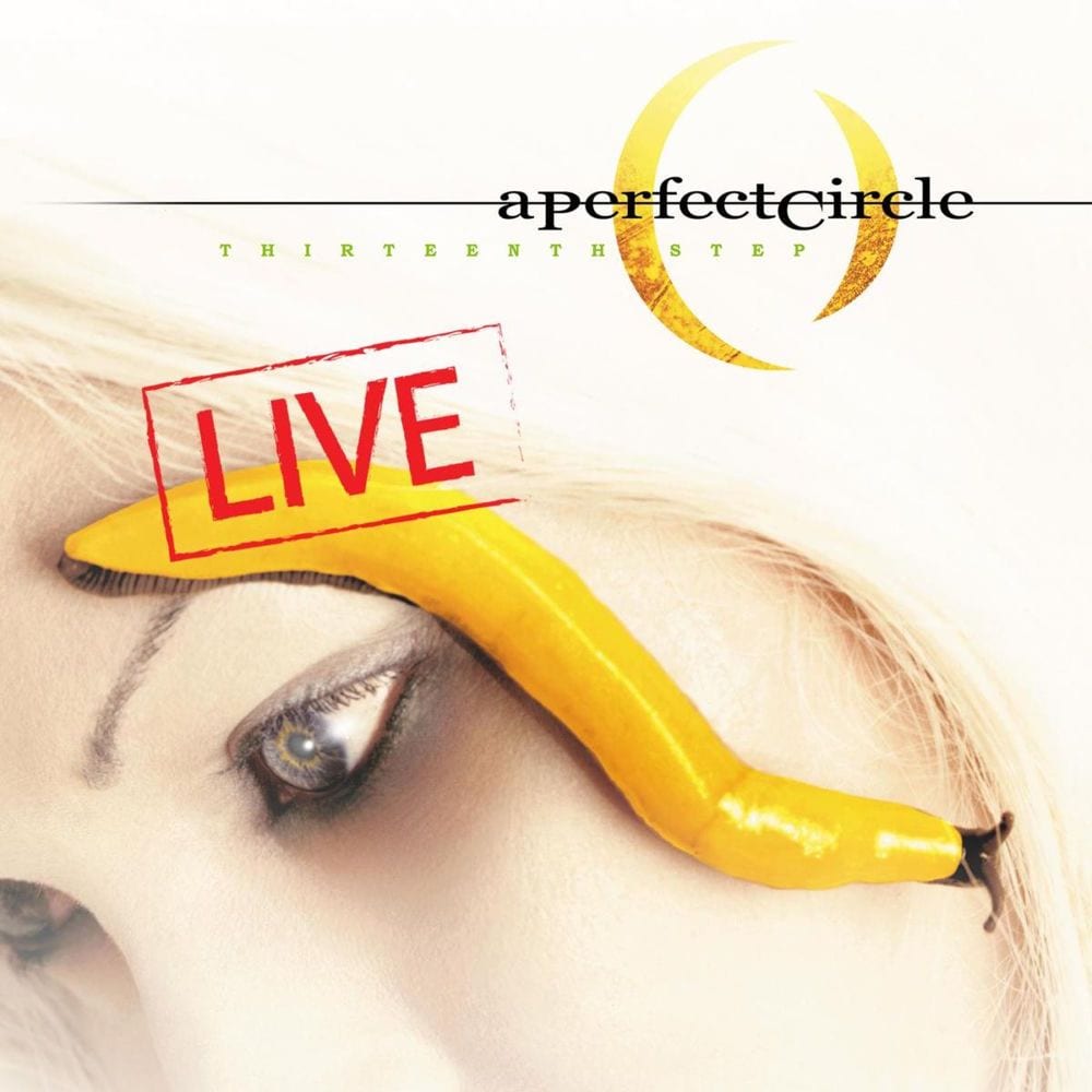 Thirteenth Step - Live cover