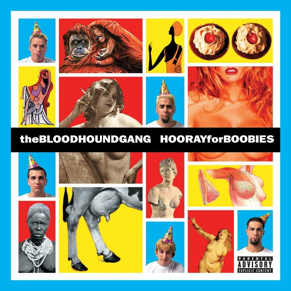 Hooray for Boobies album cover artwork
