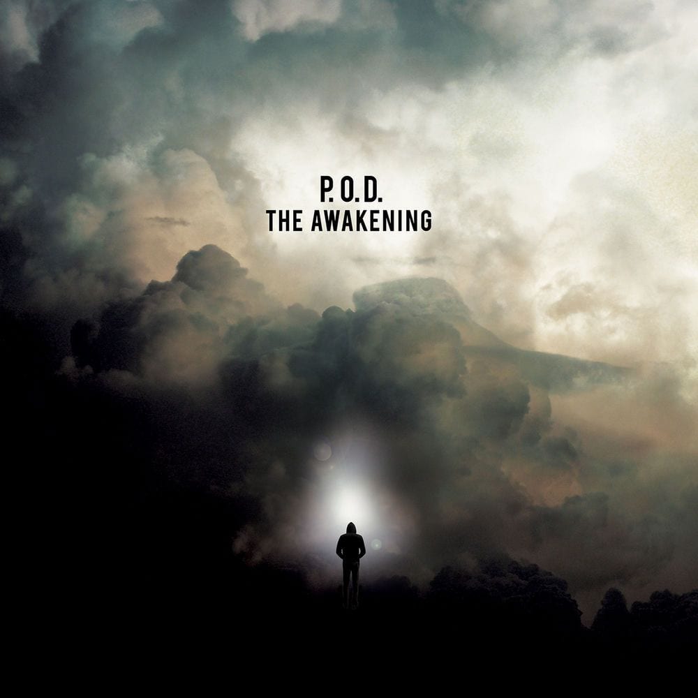 The Awakening cover