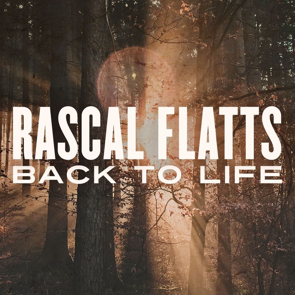 Back To Life cover