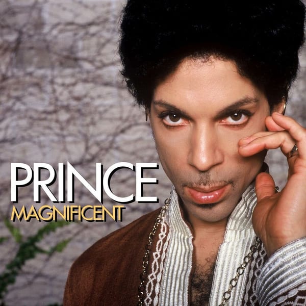 Magnificent cover