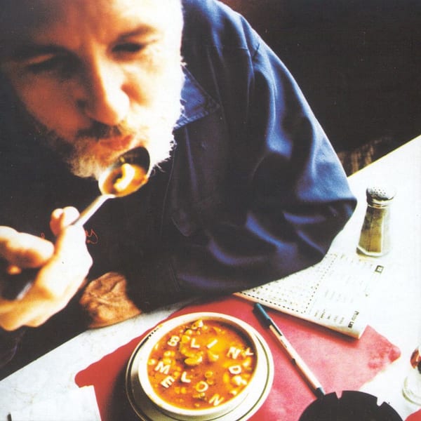 Soup cover