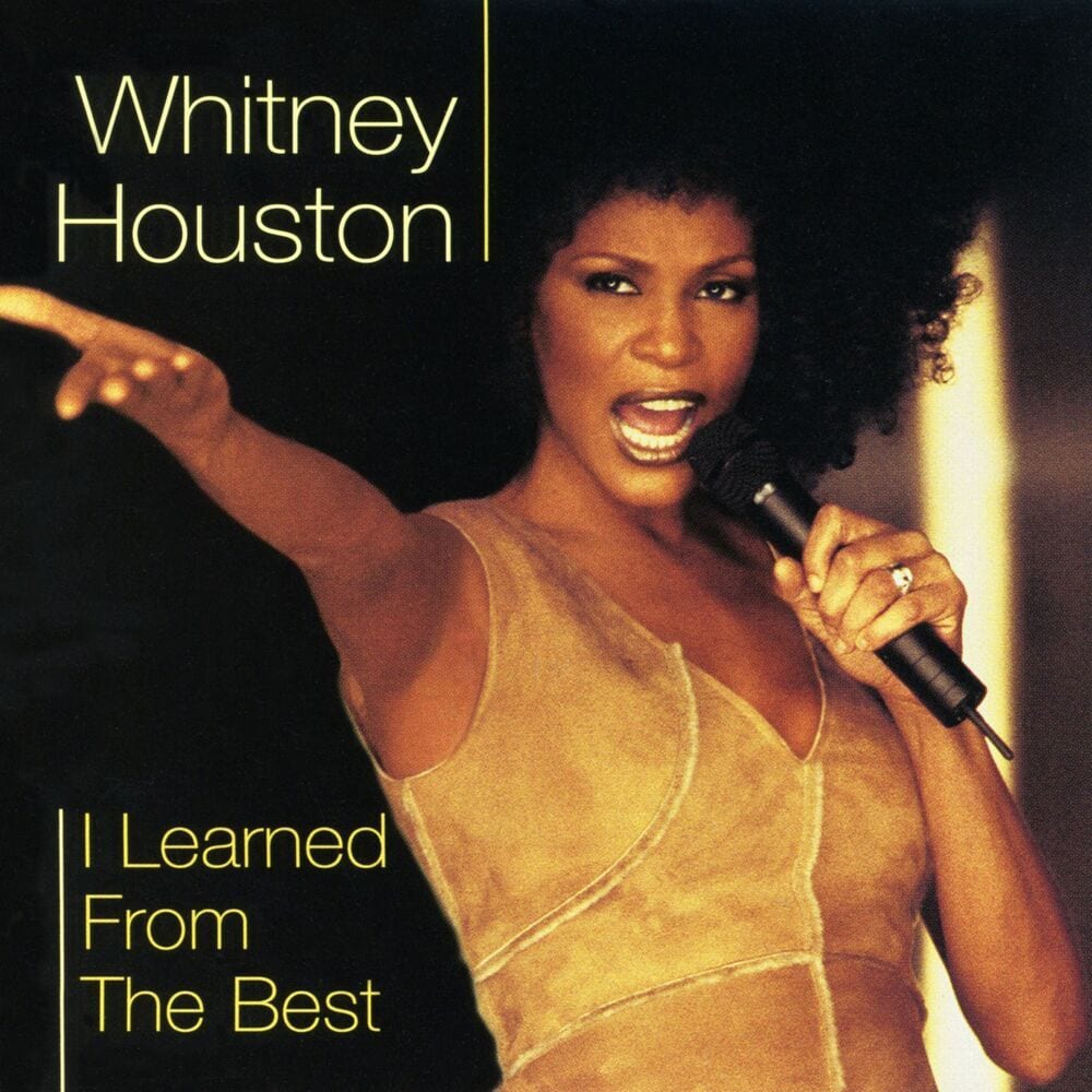 Dance Vault Remixes - I Learned from the Best cover