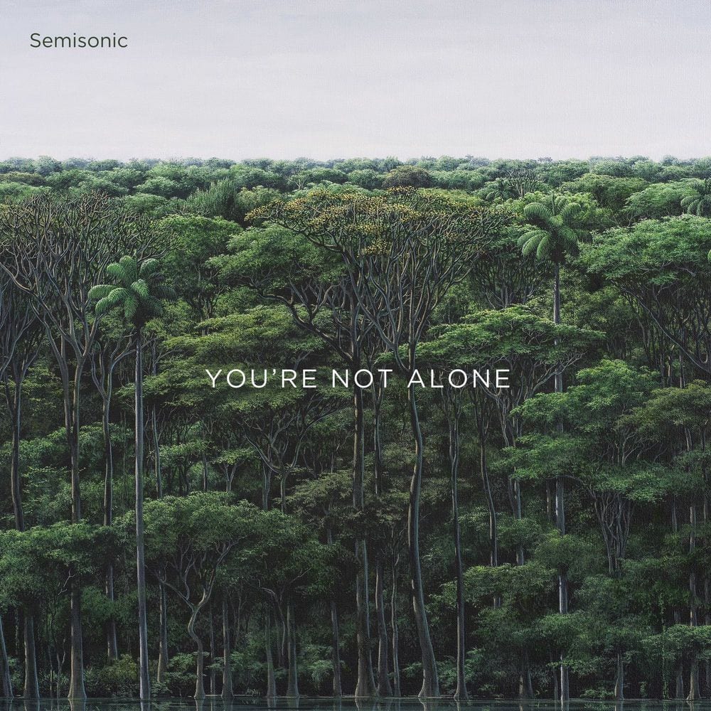 You're Not Alone cover