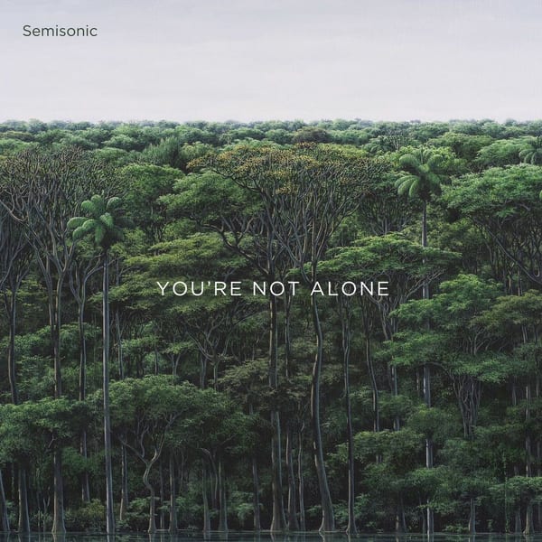 You're Not Alone cover