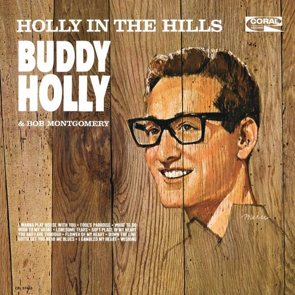 Holly in the Hills cover