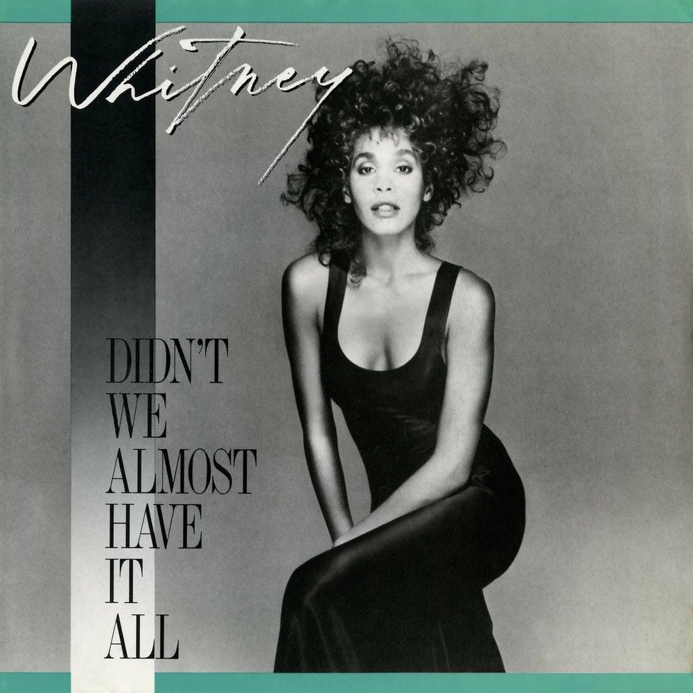 Didn't We Almost Have It All cover
