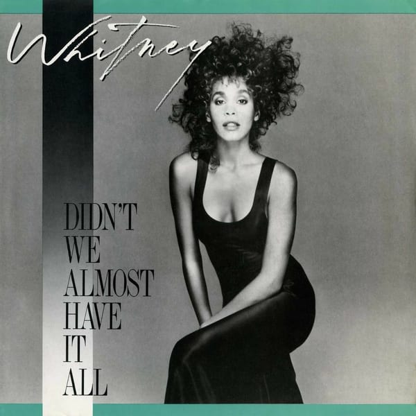 Didn't We Almost Have It All cover