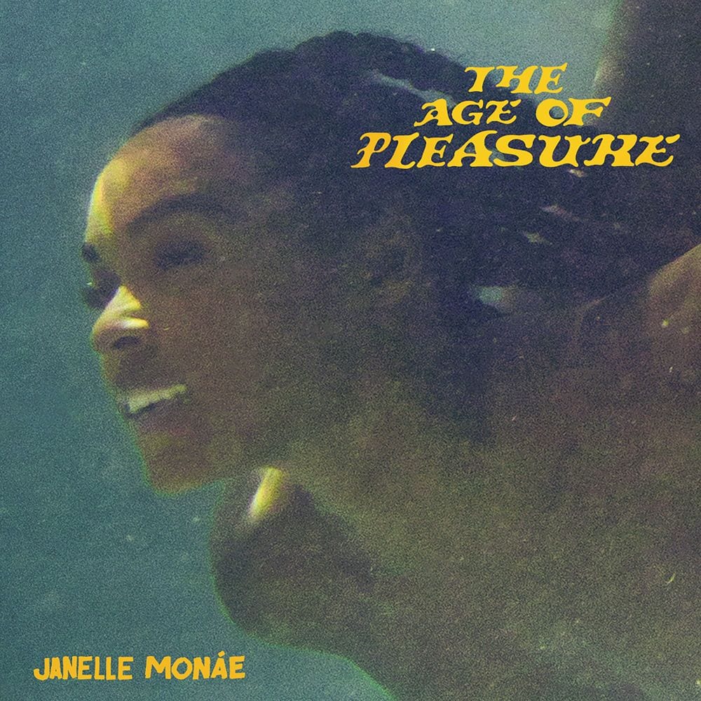 The Age of Pleasure cover