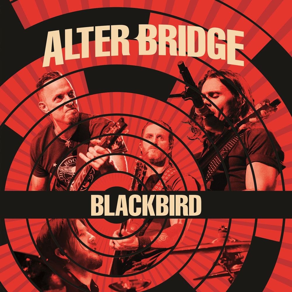 Blackbird cover
