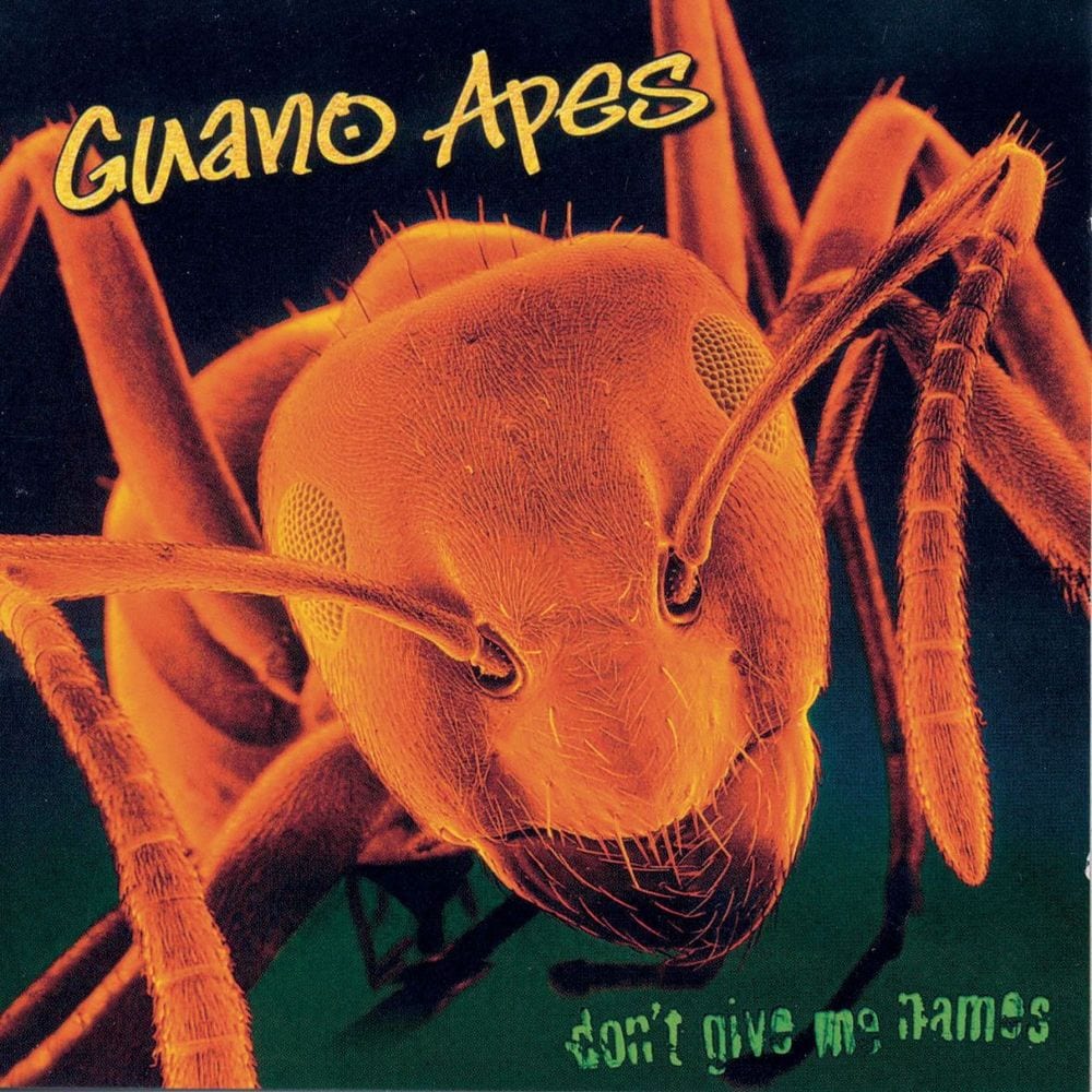 Don't Give Me Names cover