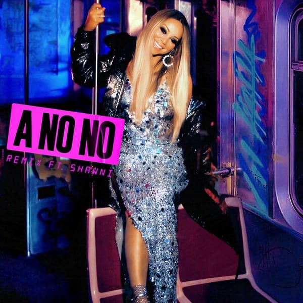 A No No (feat. Shawni) (Remix) cover