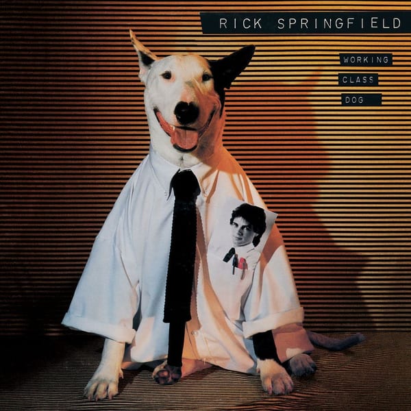 Working Class Dog cover