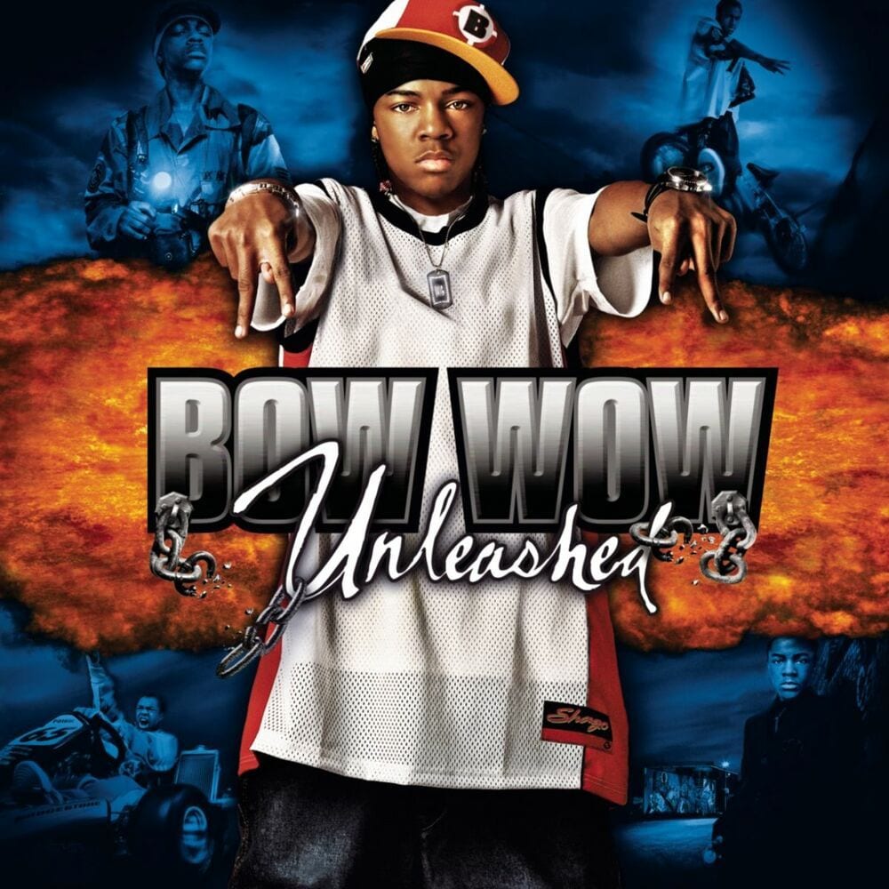 Unleashed cover
