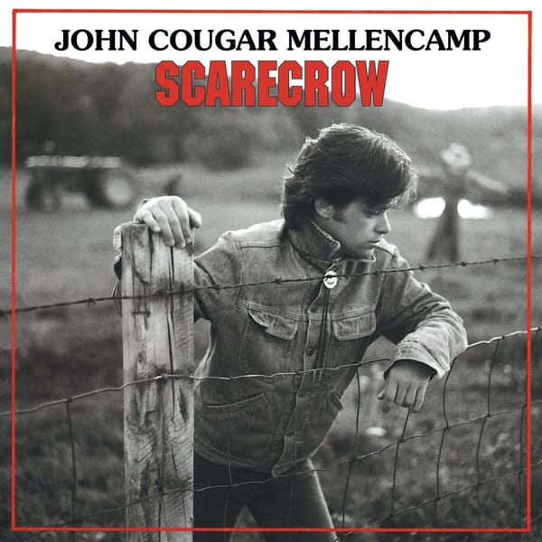 Scarecrow cover