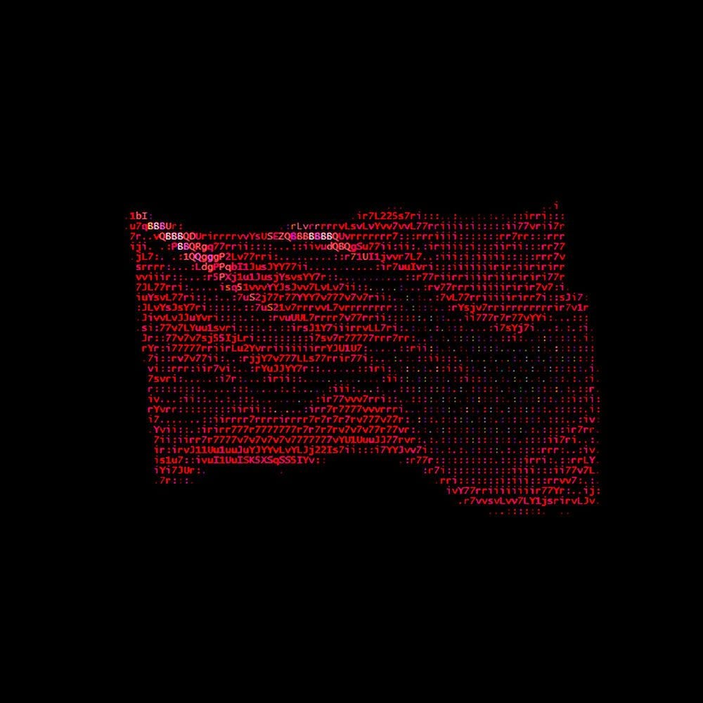 WAVE THE BULL cover