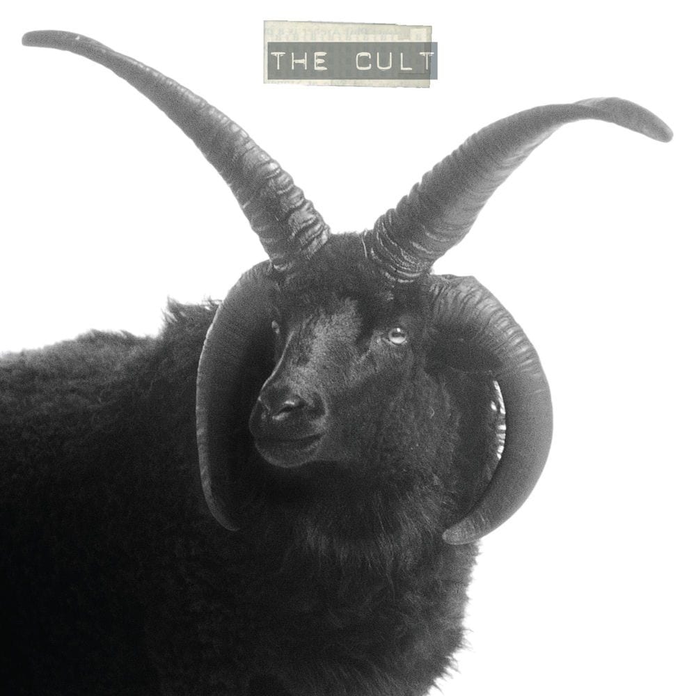 The Cult cover
