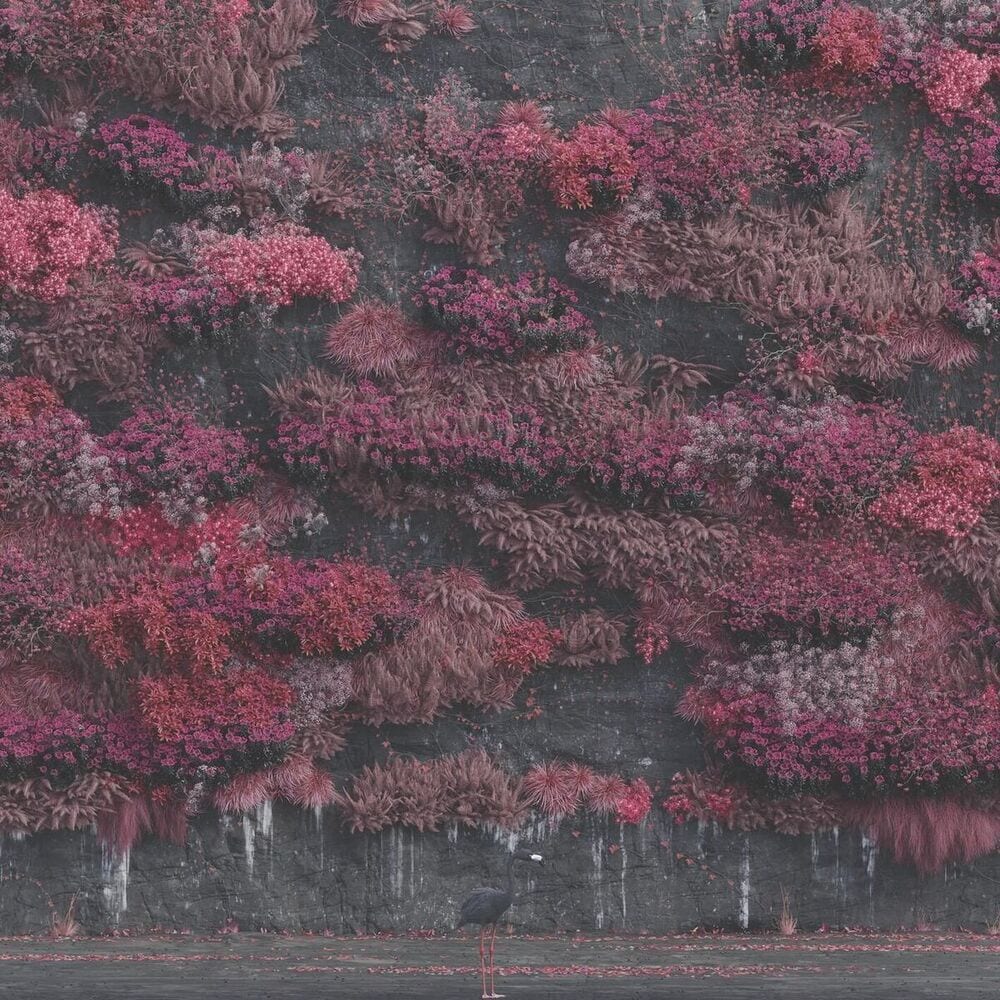 Even in Arcadia cover
