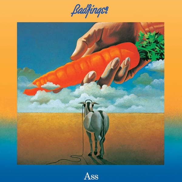 Ass cover