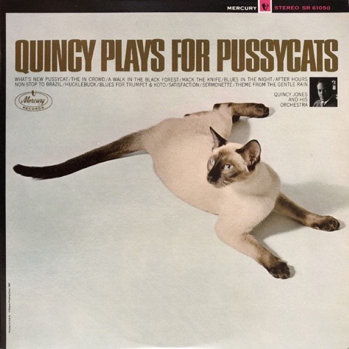 Quincy Plays for Pussycats cover
