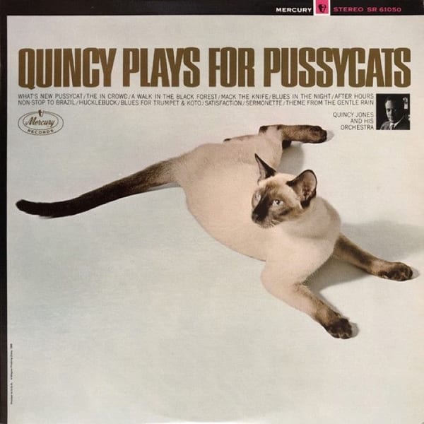 Quincy Plays for Pussycats cover