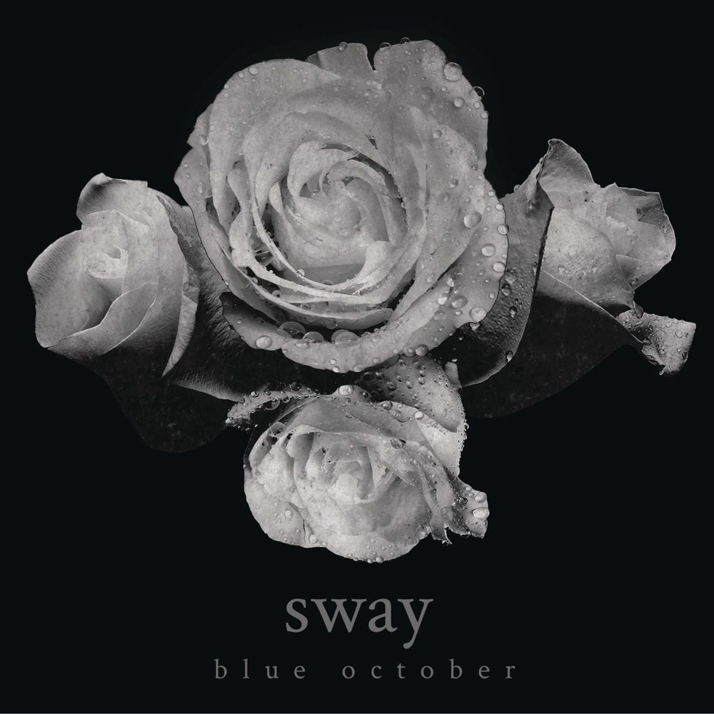 Sway cover