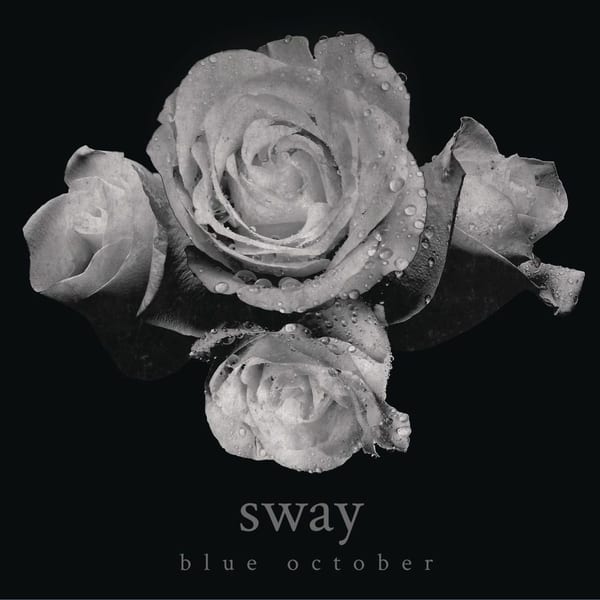 Sway cover