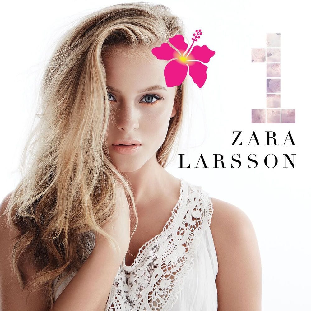 1 cover