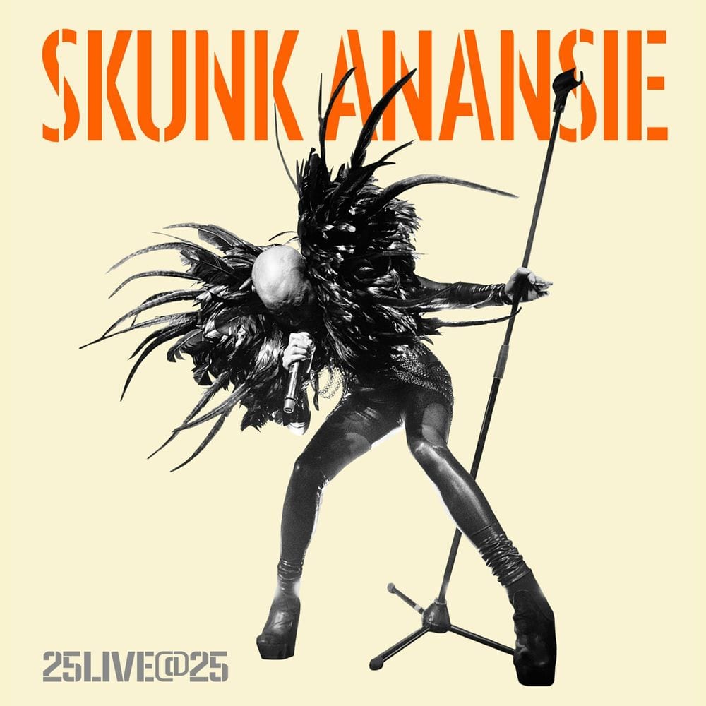 25LIVE@25 cover