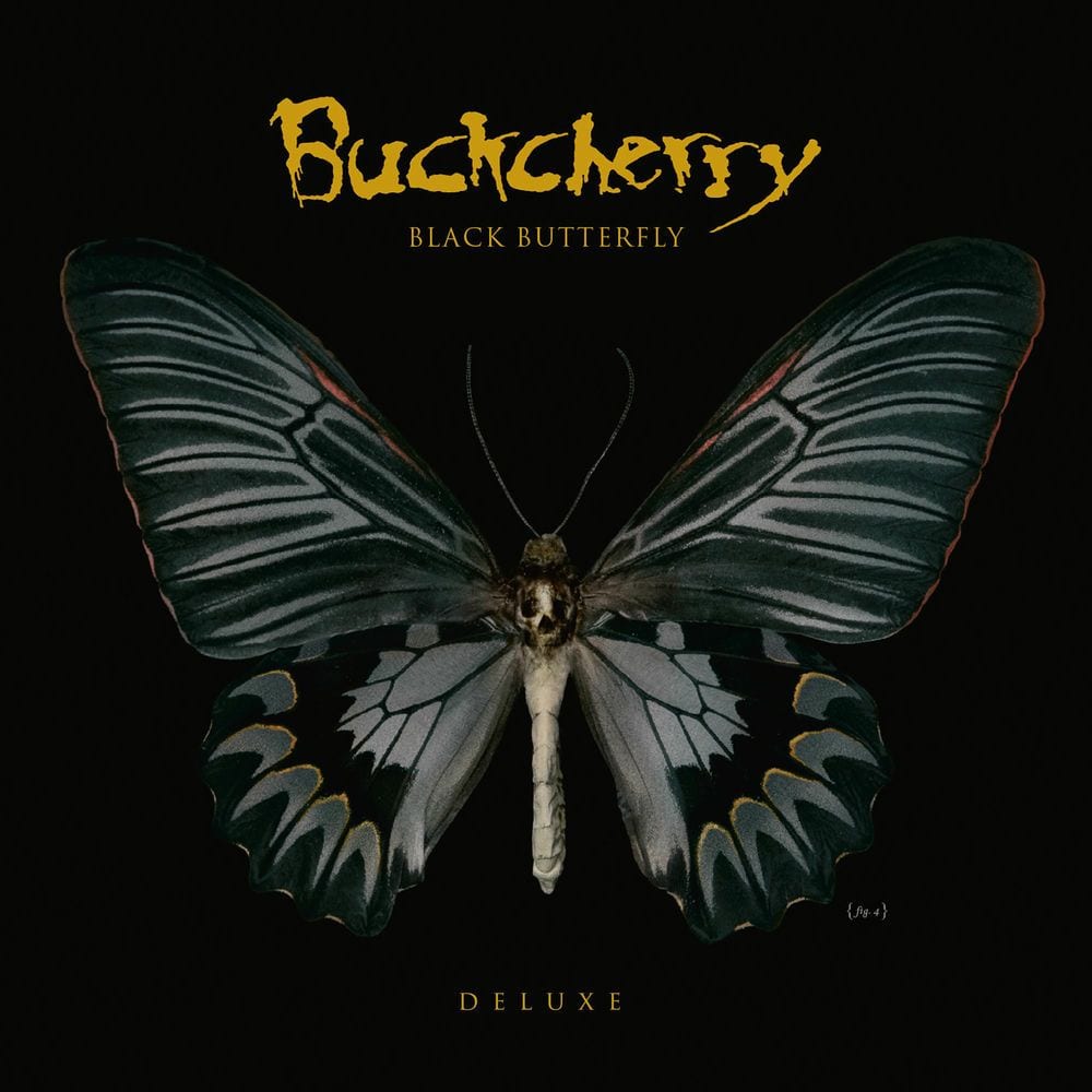 Black Butterfly cover