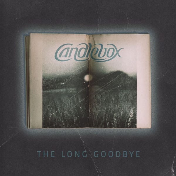The Long Goodbye cover