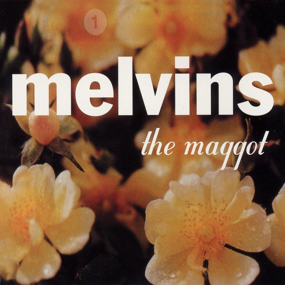 The Maggot cover