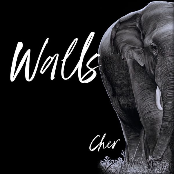 Walls cover