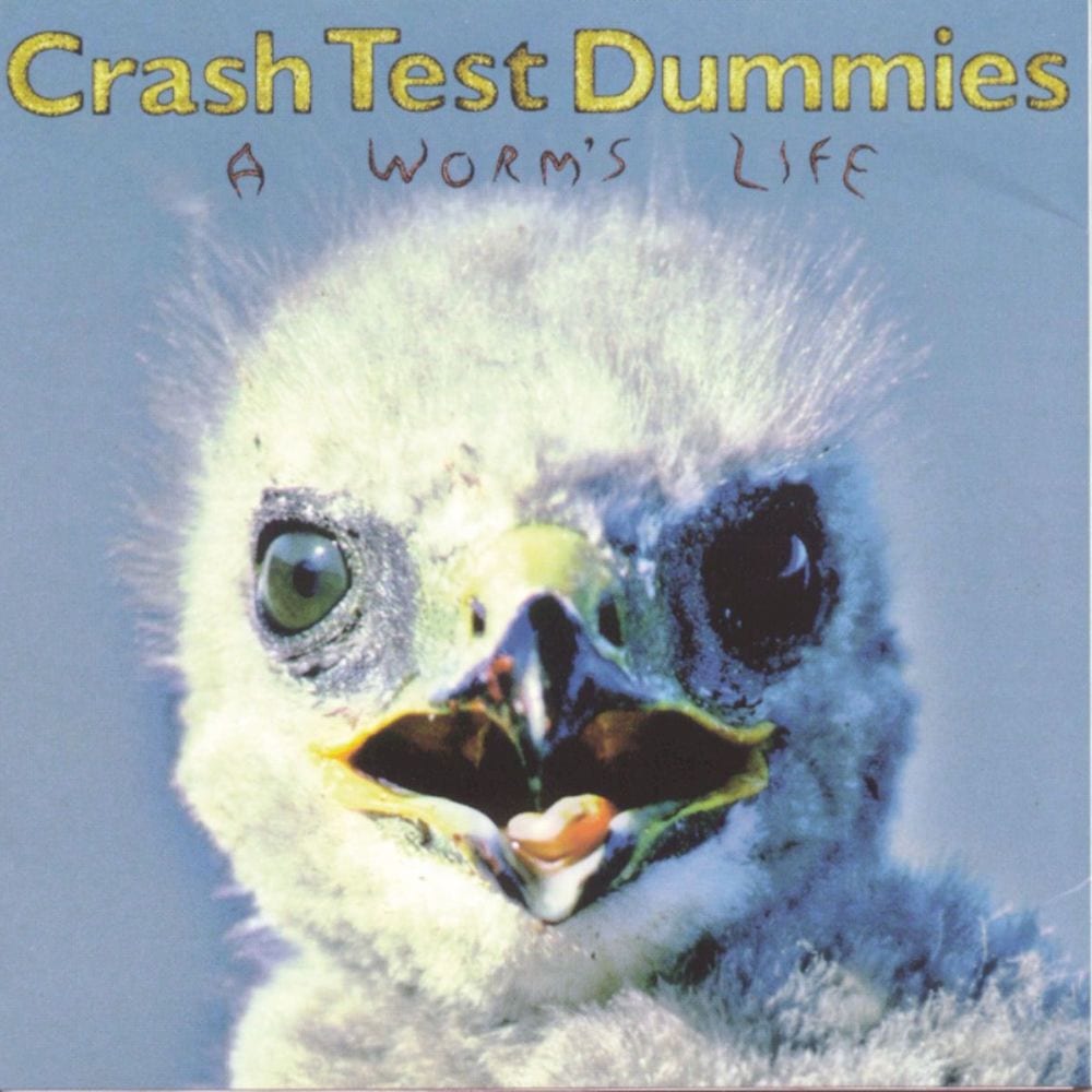 A Worm's Life cover