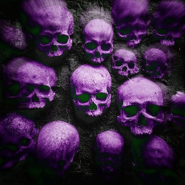 Skeletor cover