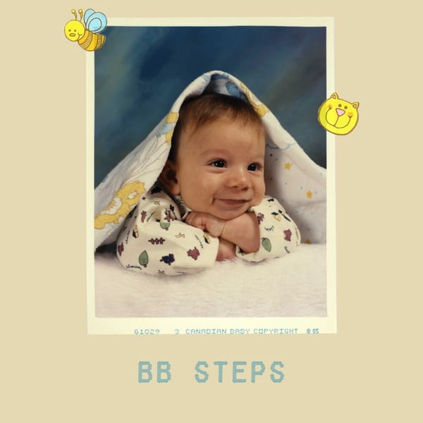 bb steps cover