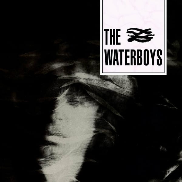 The Waterboys cover