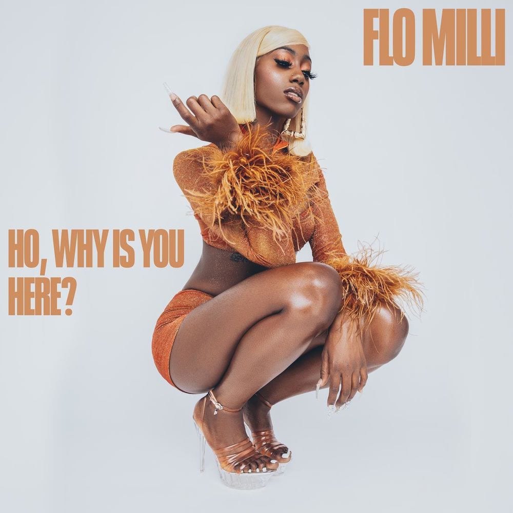 Ho, why is you here? cover